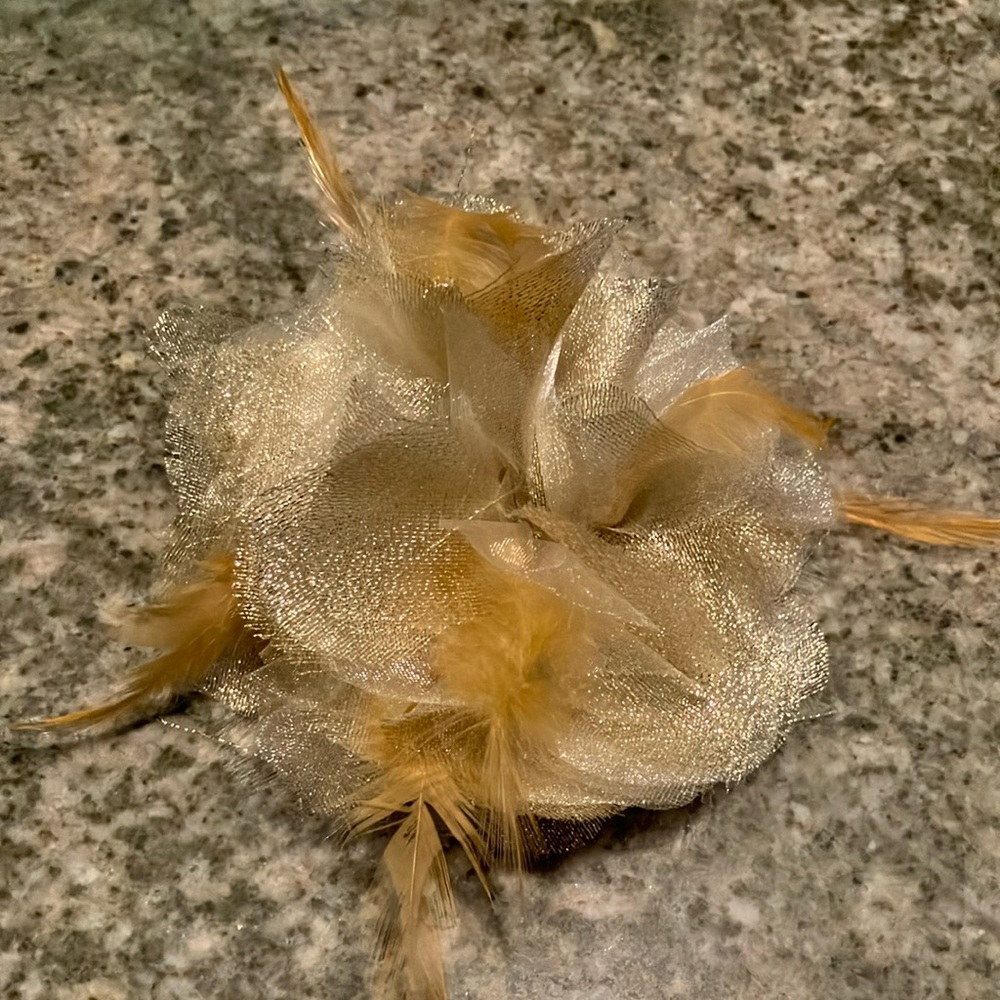 Gold Feathered Accessory 4 for $12